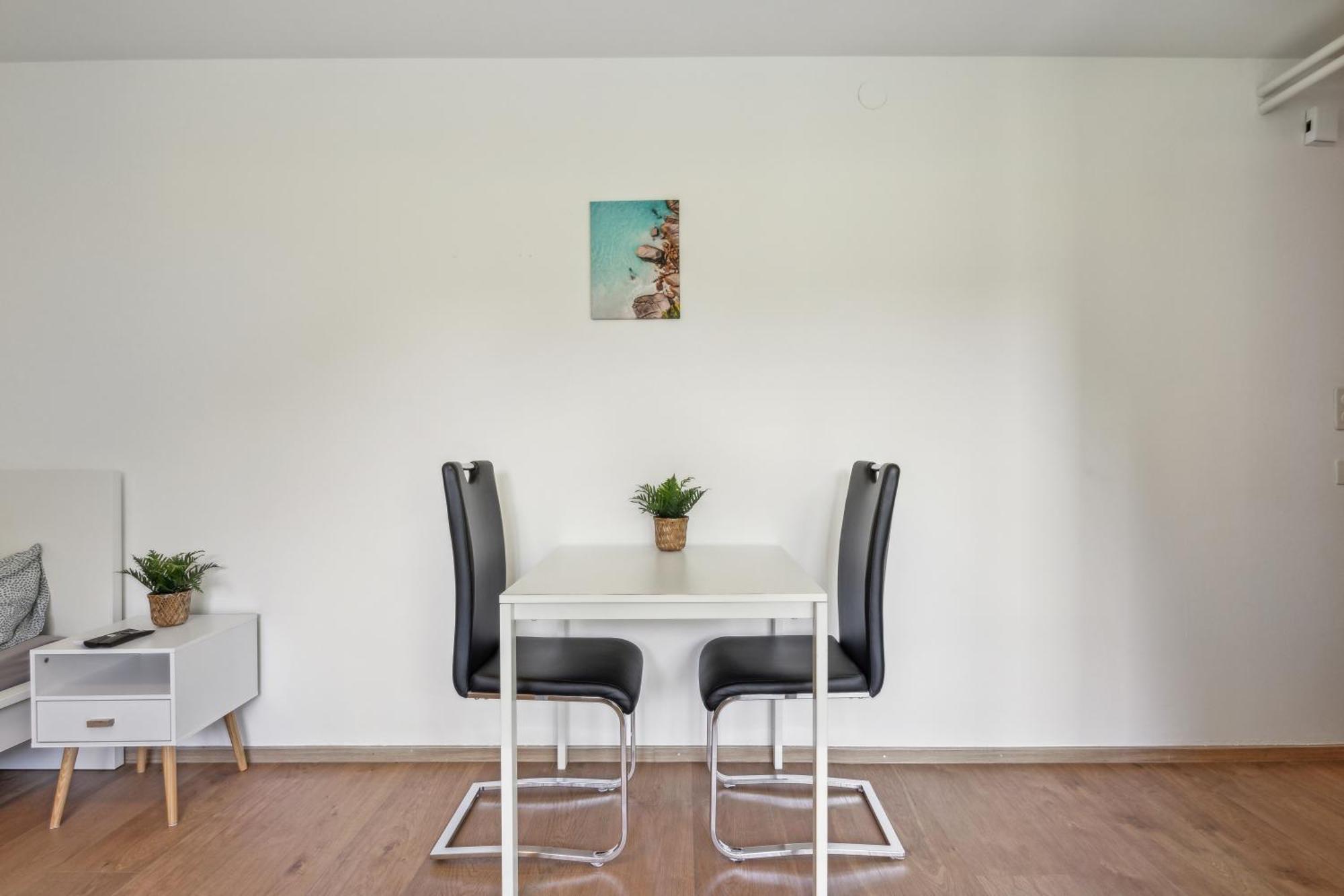 Pearlstay - Quiet Location Workplace Parking Washer Schaffhausen Exteriör bild