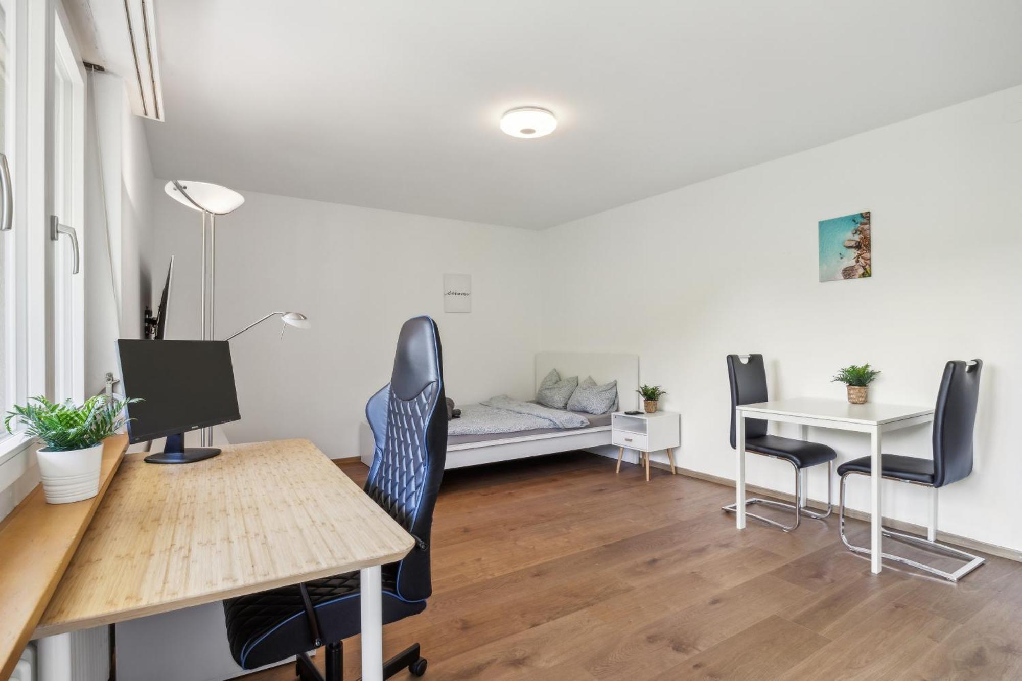 Pearlstay - Quiet Location Workplace Parking Washer Schaffhausen Exteriör bild