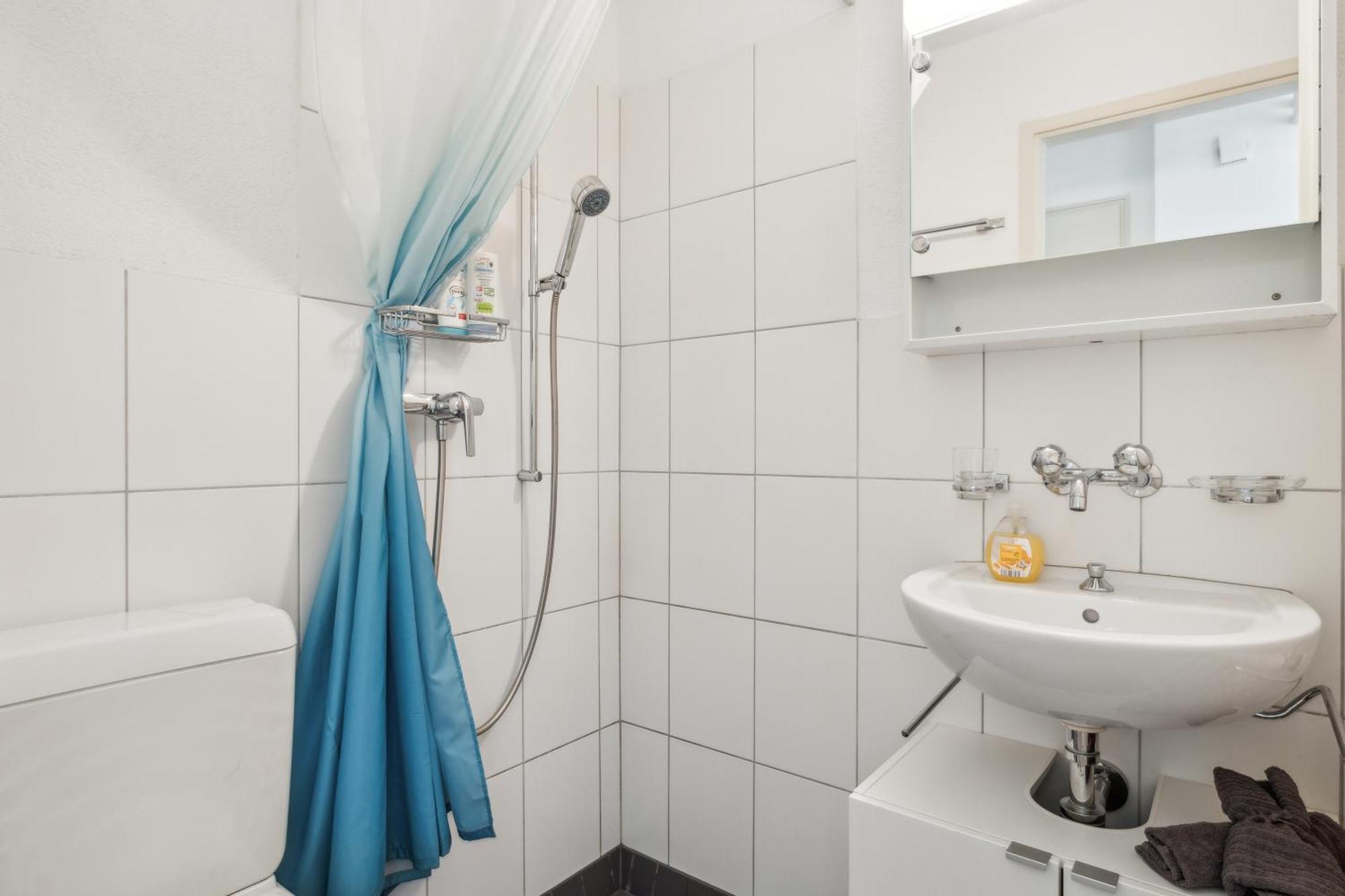 Pearlstay - Quiet Location Workplace Parking Washer Schaffhausen Exteriör bild