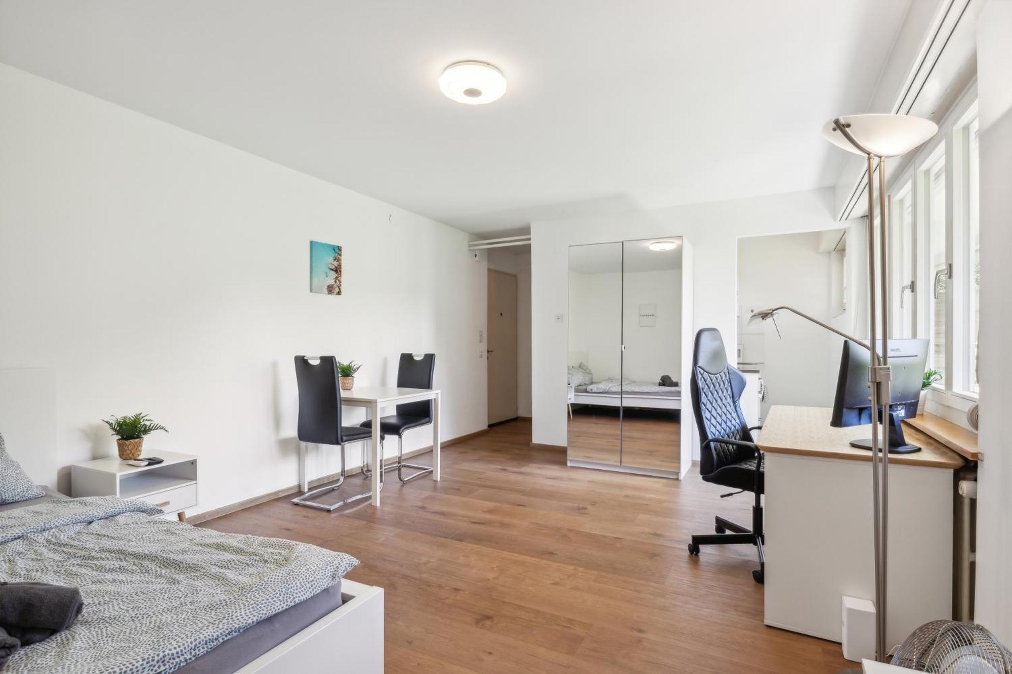 Pearlstay - Quiet Location Workplace Parking Washer Schaffhausen Exteriör bild